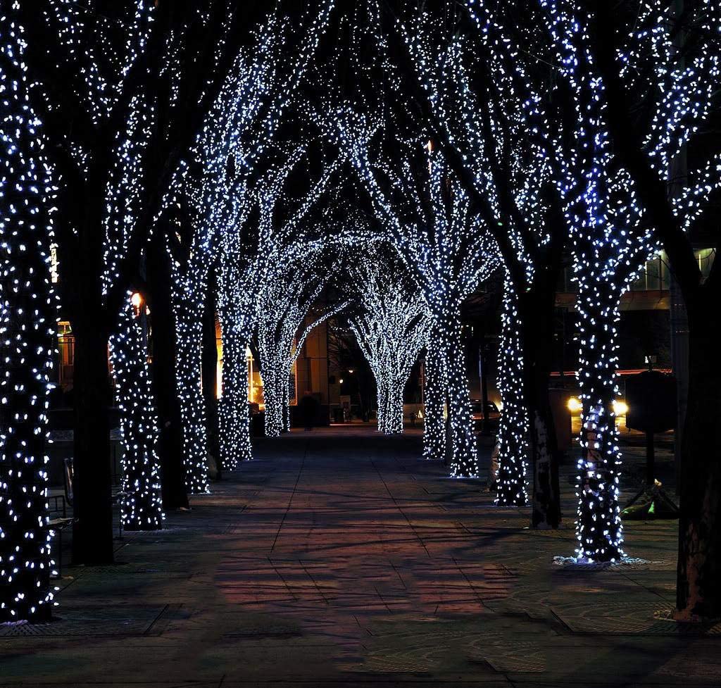 Luces Guirnalda Led BLANCO FRIO 600 Luces 36 Metros Eventos Pascua