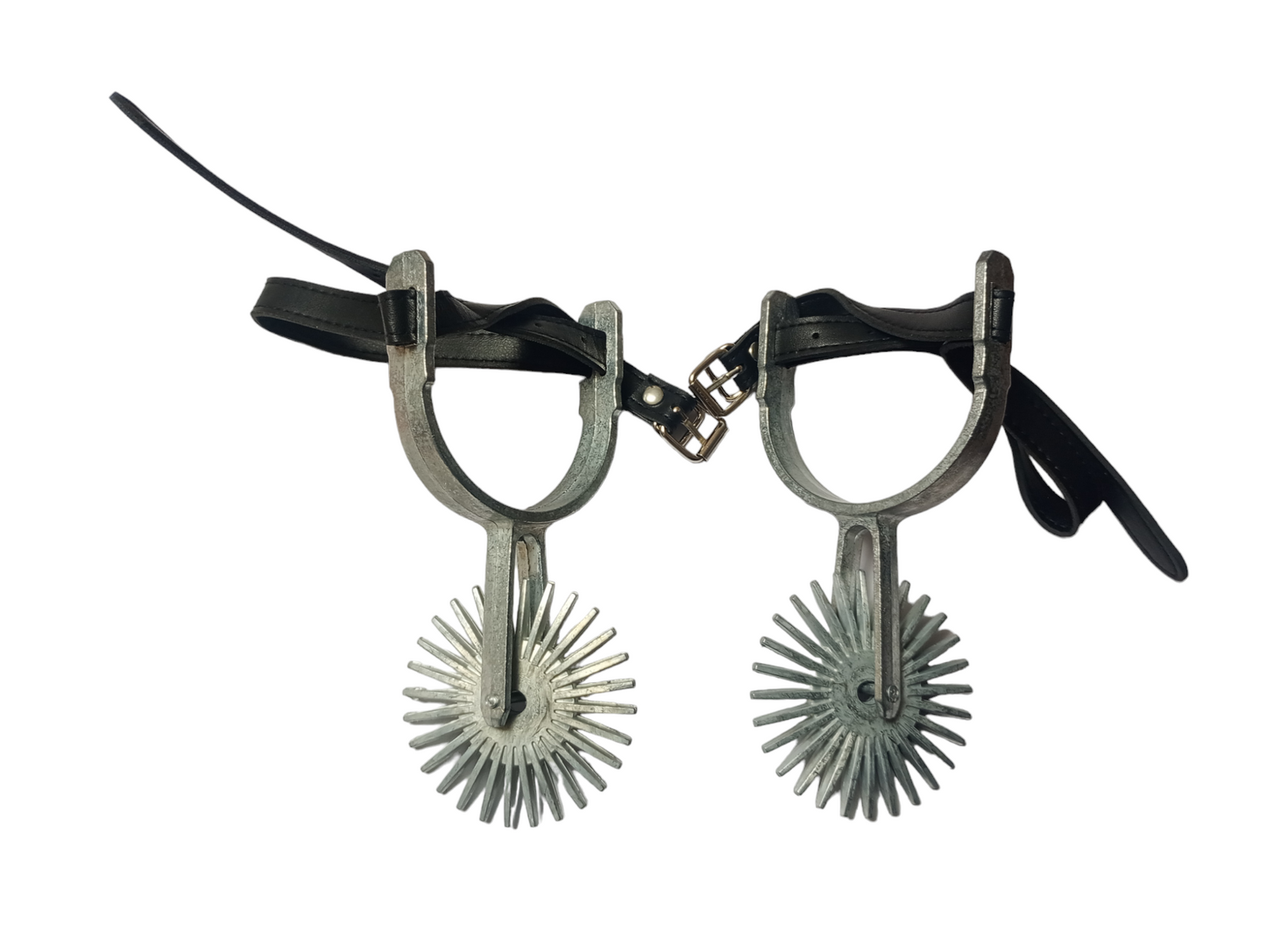 Espuela De HuasoChilena  Juvenil Adulto Espuelas Metalicas Gruesas Zapatos Talla 39 al 45