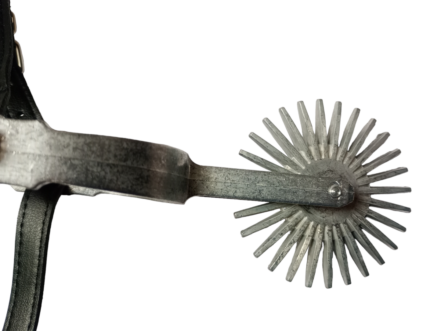 Espuela De HuasoChilena  Juvenil Adulto Espuelas Metalicas Gruesas Zapatos Talla 39 al 45
